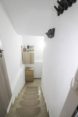 3 bedrooms Insiruita Vila For rent , Bucuresti