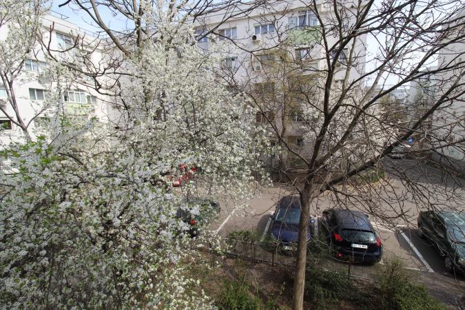 2 camere- Aviatiei- Prometeu
