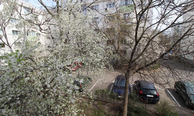 2 camere- Aviatiei- Prometeu