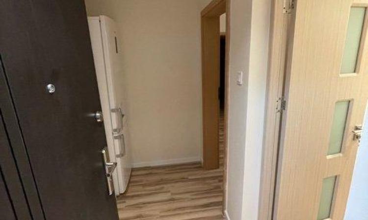 2 camere - Lacul Tei - Chirias Inclus