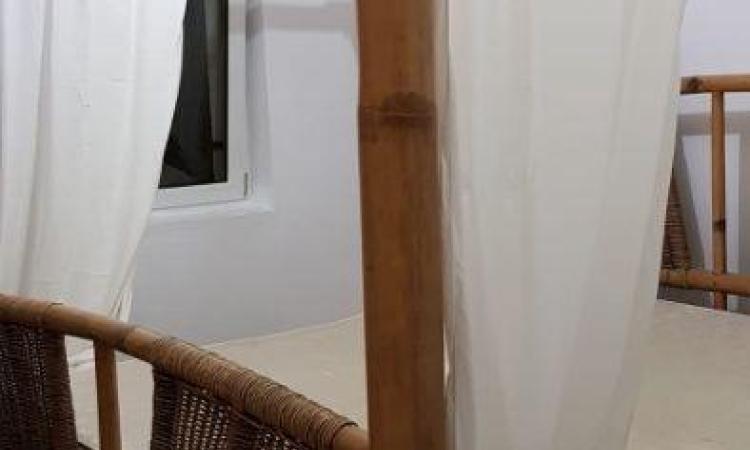 2 camere - Aviatiei - Parter