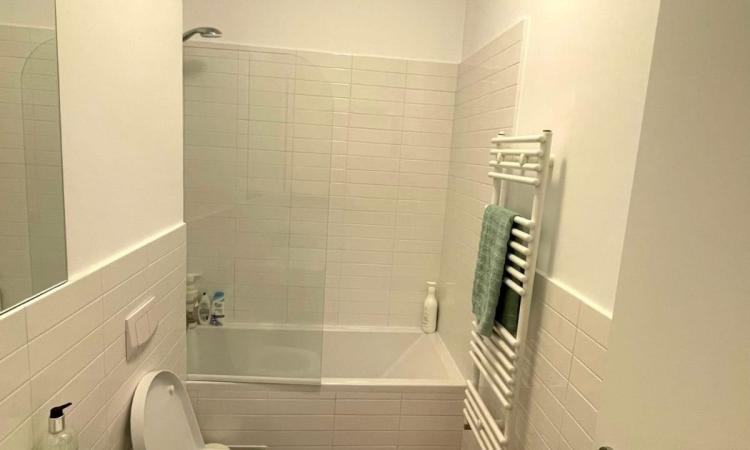 2 camere - Aviatiei Park - Caramfil- chirias inclus 600 EUR/luna