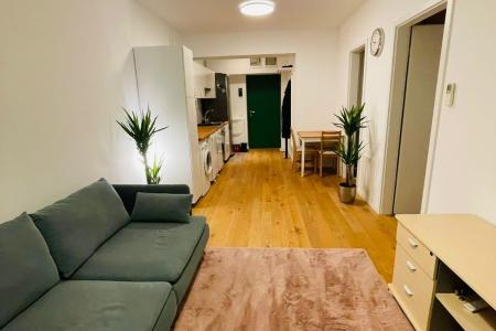 2 camere - Aviatiei Park - Caramfil- chirias inclus 600 EUR/luna