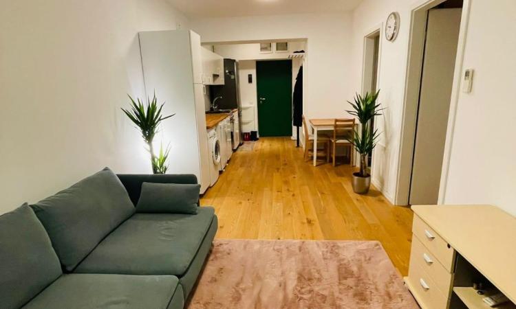 2 camere - Aviatiei Park - Caramfil- chirias inclus 600 EUR/luna