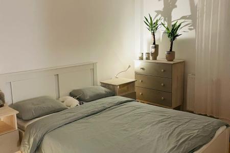 2 camere - Aviatiei Park - Caramfil- chirias inclus 600 EUR/luna