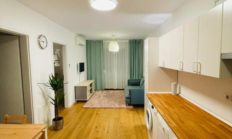 2 camere - Aviatiei Park - Caramfil- chirias inclus 600 EUR/luna