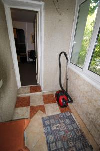 2 camere de inchiriat - Aviatiei