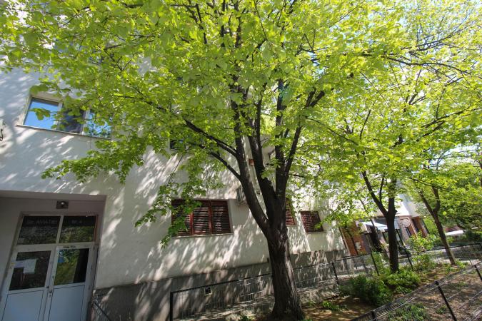 2 camere de inchiriat - Aviatiei