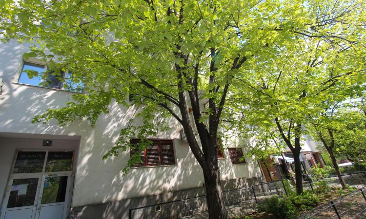 2 camere de inchiriat - Aviatiei