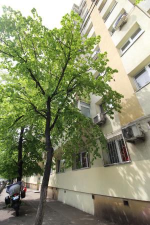 Garsoniera renovata - TEi