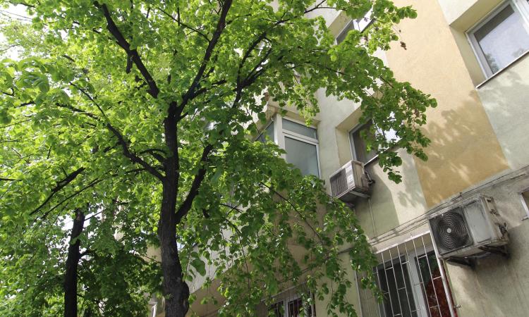 Garsoniera renovata - TEi