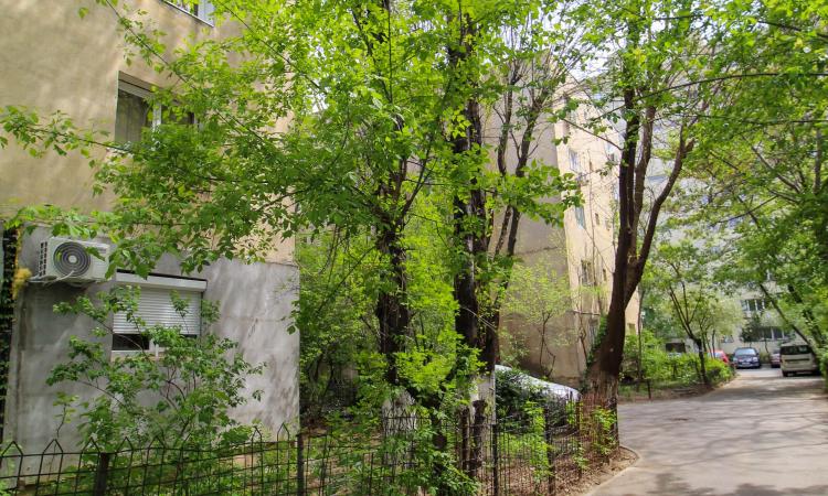 Garsoniera de vanzare - Tei - Parcul Circului