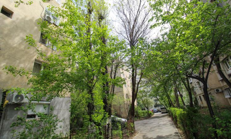 Garsoniera de vanzare - Tei - Parcul Circului