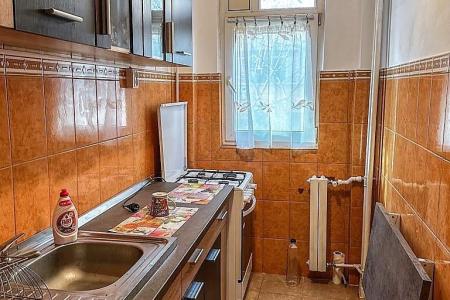 Vanzare apartament 2 camere decomandat, parcul Tei, G Moisil