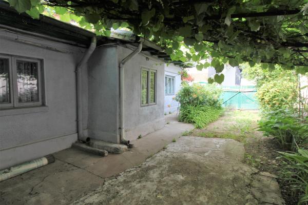 Casa cu gradina generoasa, pomi fructiferi pe rod, Tei
