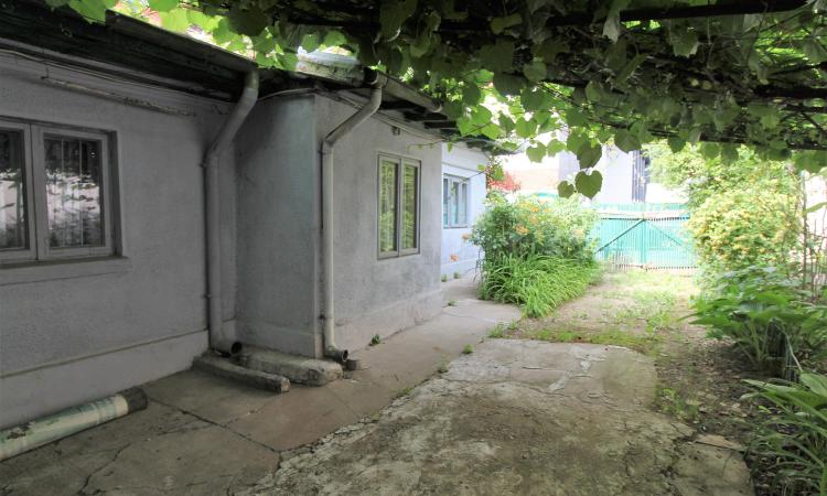 Casa cu gradina generoasa, pomi fructiferi pe rod, Tei