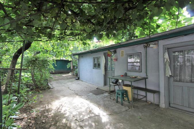 Casa cu gradina generoasa, pomi fructiferi pe rod, Tei