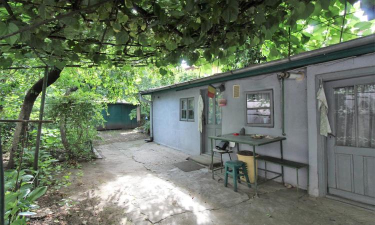 Casa cu gradina generoasa, pomi fructiferi pe rod, Tei