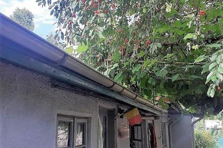 Casa cu gradina generoasa, pomi fructiferi pe rod, Tei