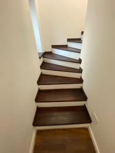 Vila Pipera - Scoala Americana - Curte 60mp