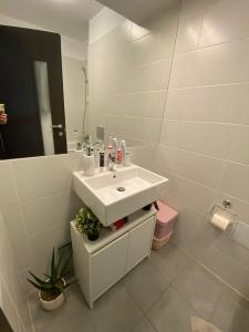 3 camere - Belvedere - Aviatiei/Pipera- mobila si parcare incluse