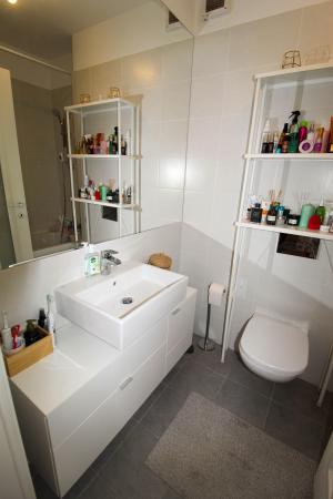 Studio - Belvedere - Fabrica de Glucoza