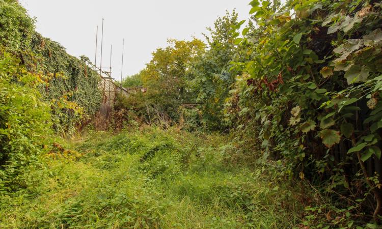 400 sqm land | 2 Rooms | Ideal Investment | Damaroia | Bucurestii Noi