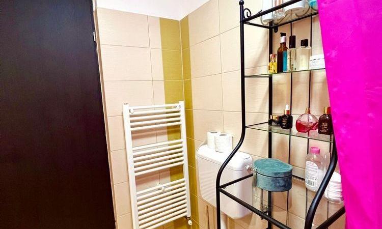 Decebal-Piata Alba Iulia/bloc nou-centrala proprie