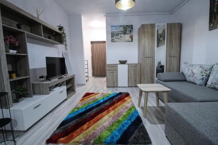 GARSONIERĂ CU GRĂDINĂ PROPRIE DE 20MP LA PRIMA ÎNCHIRIERE - Parcul Teilor -Titan