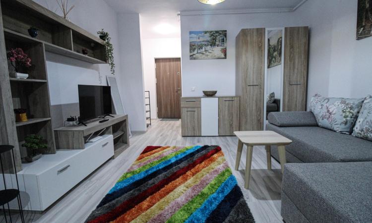 GARSONIERĂ CU GRĂDINĂ PROPRIE DE 20MP LA PRIMA ÎNCHIRIERE - Parcul Teilor -Titan