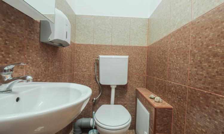 Inchiriere duplex spatios- central- zona Fainari-Stefan cel Mare