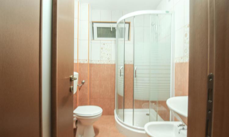 Inchiriere duplex spatios- central- zona Fainari-Stefan cel Mare