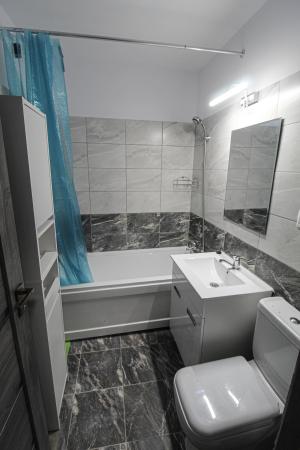 Garsoniera cu gradina 20mp-PRIMA ÎNCHIRIERE-Auchan Titan -Parcul Teilor