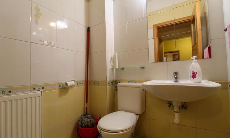 Vila 4 Camere | 163mp utili | Curte 263mp | Sisesti | Vatra Noua | Renovata 2022