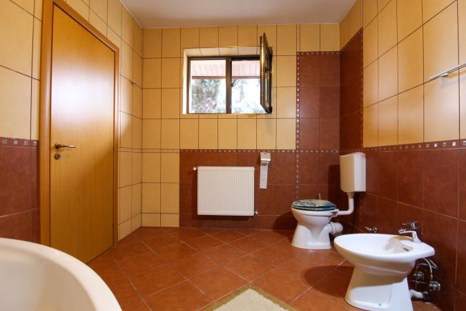 Vila 4 Camere | 163mp utili | Curte 263mp | Sisesti | Vatra Noua | Renovata 2022