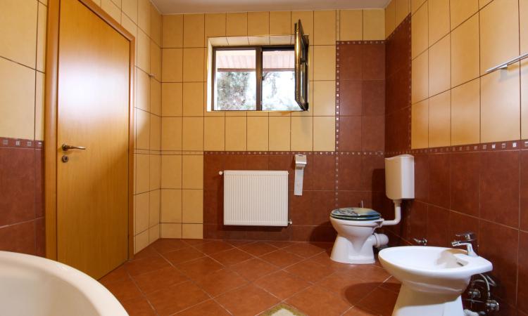 Vila 4 Camere | 163mp utili | Curte 263mp | Sisesti | Vatra Noua | Renovata 2022