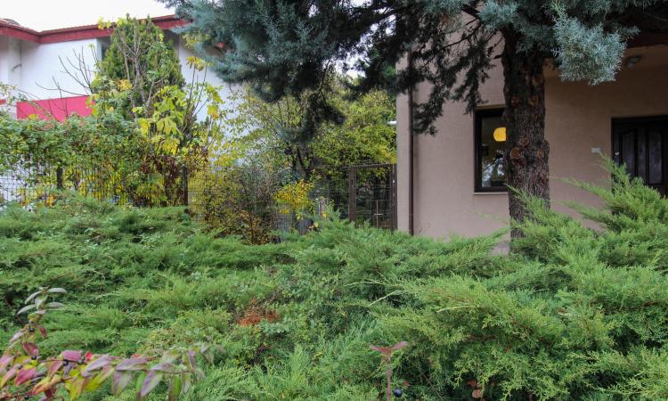 Vila 4 Camere | 163mp utili | Curte 263mp | Sisesti | Vatra Noua | Renovata 2022