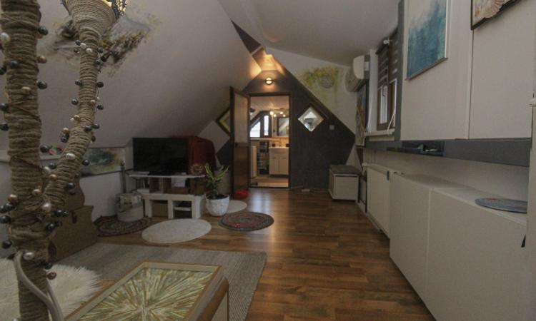 Vila individuala - P+M - 6 camere - Mogosoaia