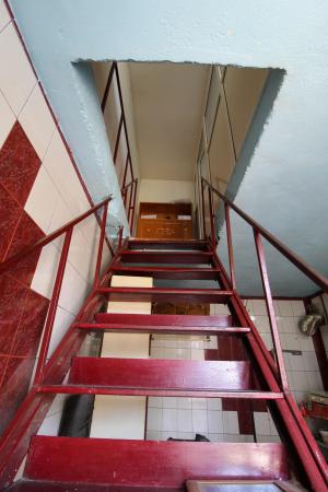Casa 6 camere | 140mp Utili | Teren 254mp | Vatra Noua | Padurea Baneasa