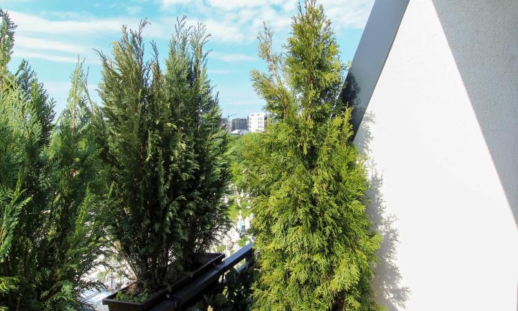 2 Camere | Ansamblul rezidential Park Residences 6 | Baneasa