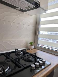 Bloc Perla 2 cam - Renovat complet - Ideal investitie ( in prezent inchiriat )