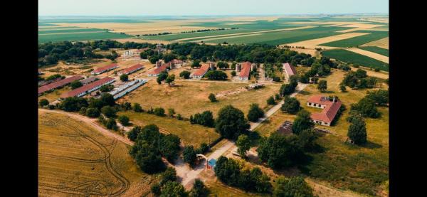 Ferma complet utilată – 30 ha teren comasat Timiș – Comuna Biled
