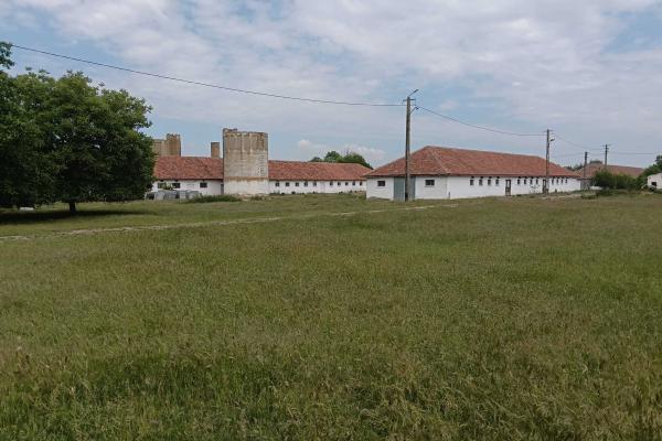 Ferma complet utilată – 30 ha teren comasat Timiș – Comuna Biled