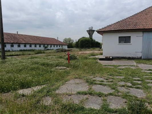 Ferma complet utilată – 30 ha teren comasat Timiș – Comuna Biled