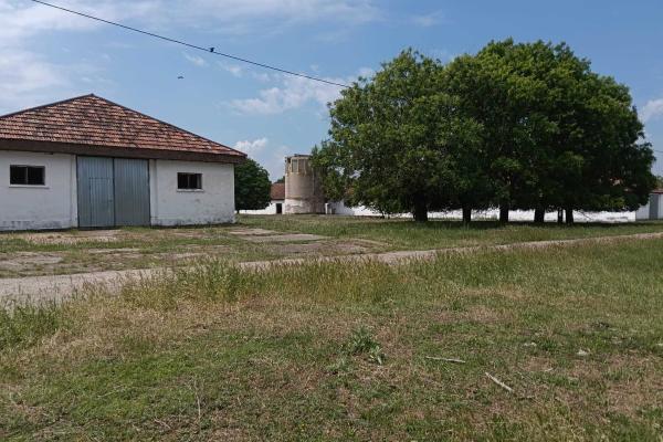 Ferma complet utilată – 30 ha teren comasat Timiș – Comuna Biled