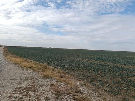 Ferma Agricolă 1.350 Hectare – Grad de Comasare 96–97%, Chișineu Criș, Județul Arad