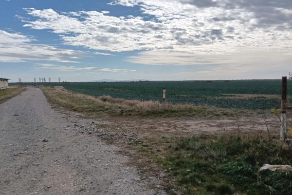Ferma Agricolă 1.350 HA – Grad de Comasare 96–97%, Județul Arad