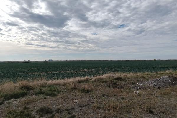 Ferma Agricolă 1.350 HA – Grad de Comasare 96–97%, Județul Arad