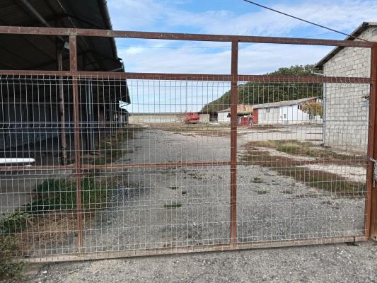 Ferma Agricolă 1.350 HA – Grad de Comasare 96–97%, Județul Arad