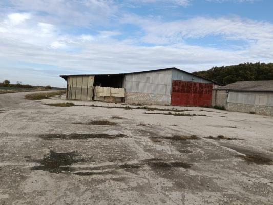 Ferma Agricolă 1.350 HA – Grad de Comasare 96–97%, Județul Arad